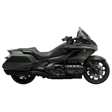 GOLDWING 2024