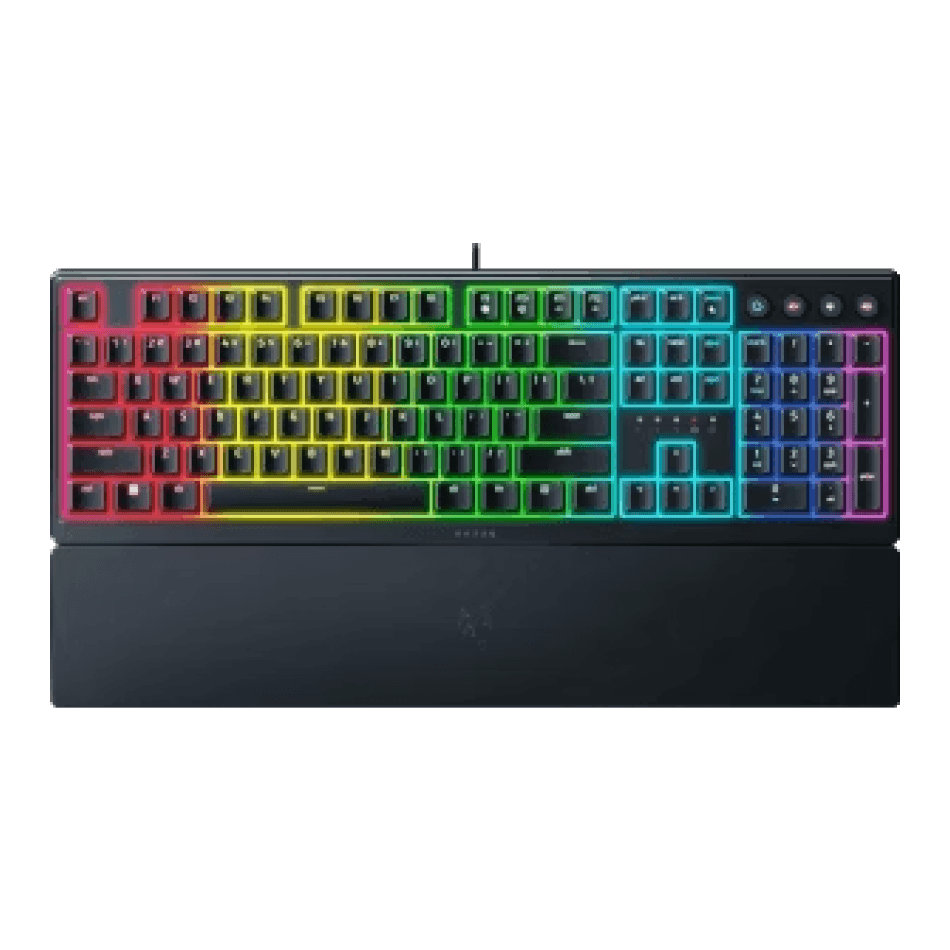Ornata V3