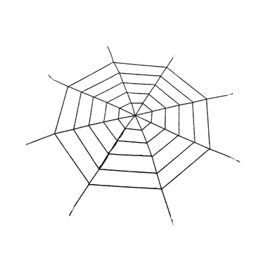 Spiderweb