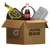 Junk Box