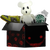 Sinister