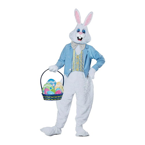 Bunny Rabbit Costume