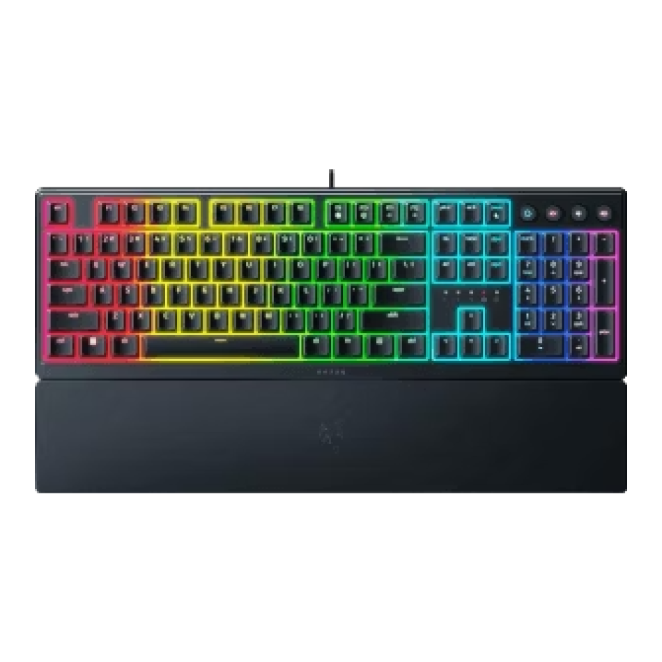 Ornata V3