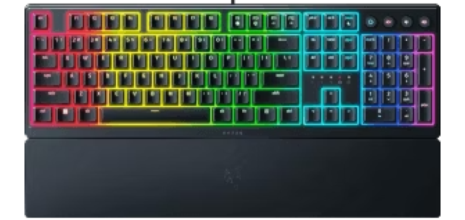 Ornata V3